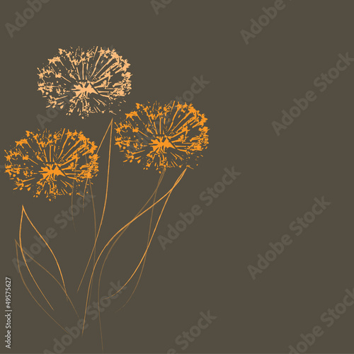 dandelions