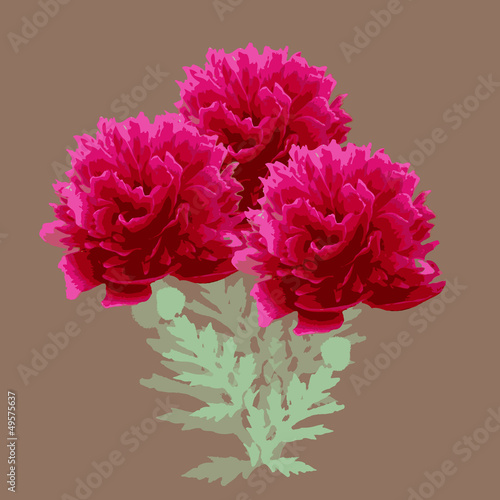 bouquet of peonies