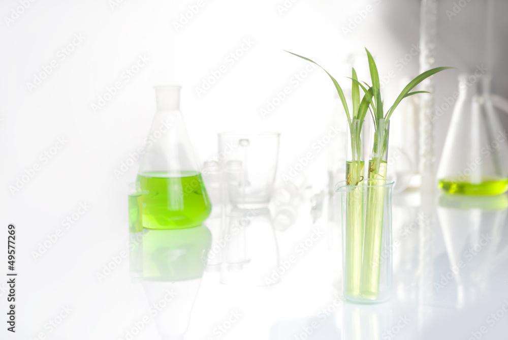 plantlet plantlet