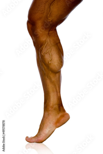 musculature of male athlete's leg photo