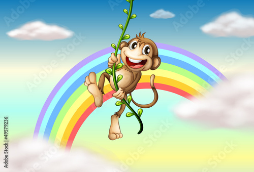 A monkey hanging on a vine plant near the rainbow