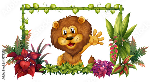 A lion in a colorful frame
