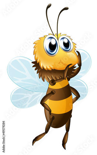 A bee