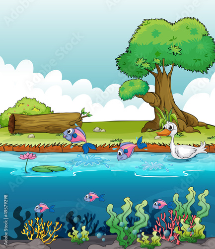Sea creatures with a duck