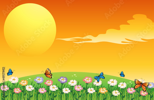 A colorful garden above the hills