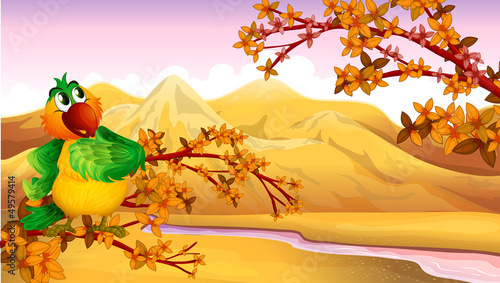 A mountain view with a bird