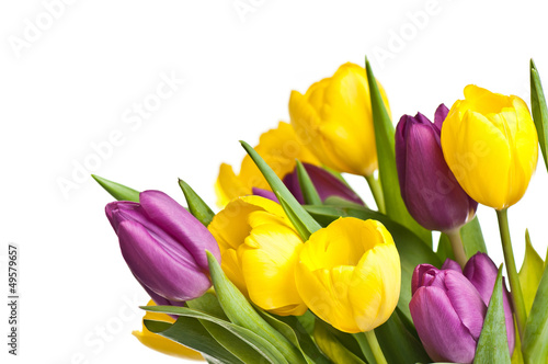 Tulpenstrauss lila gelb
