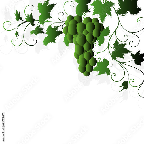 blatt, weinblatt, wein, weintraube, deko, hintergrund, vektor, 