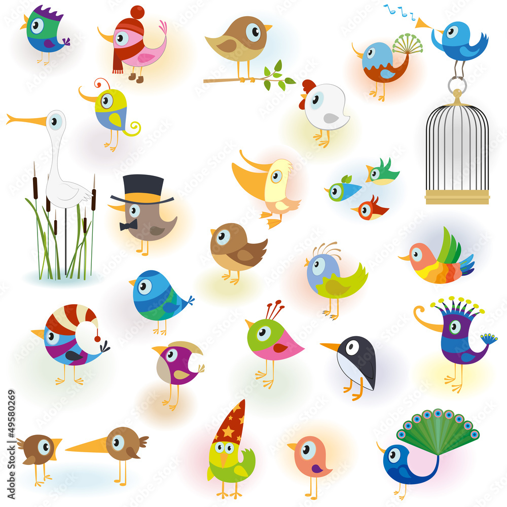 Obraz premium Big Cartoon Bird Set