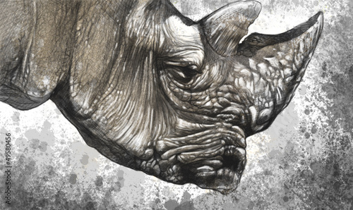 White rhino (Ceratotherium simum) illustration made with digital