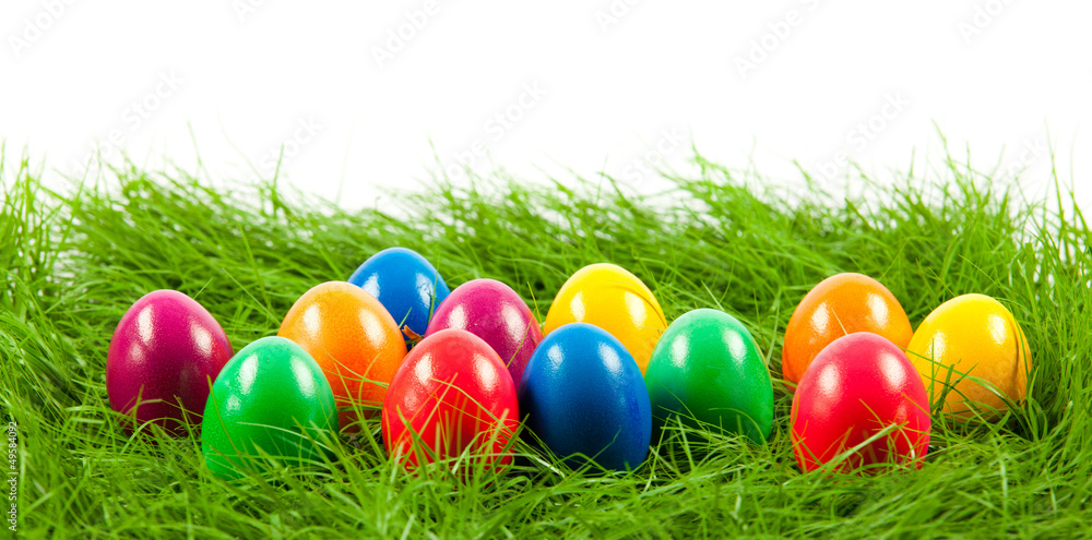 Easter eggs in Fresh Green Grass .