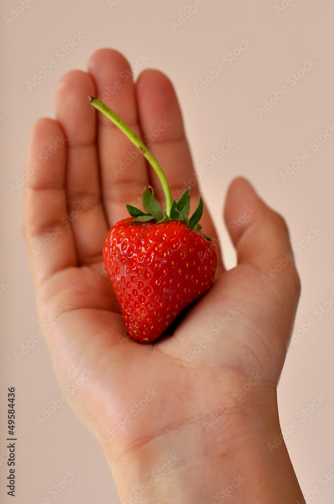 Obraz premium fresh strawberry