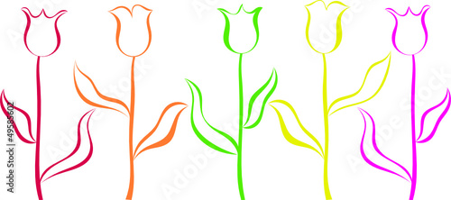 tulpen grafik vektor