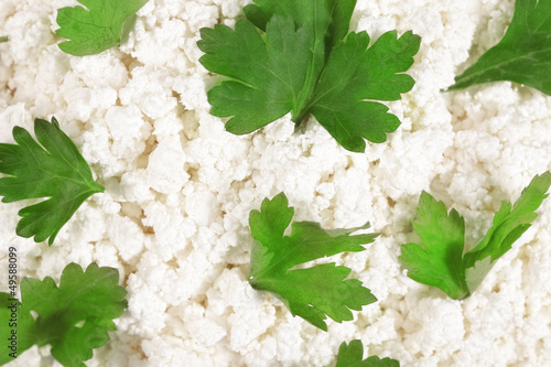 Fresh cottage cheese (curd) heap with parsley, isolated on white