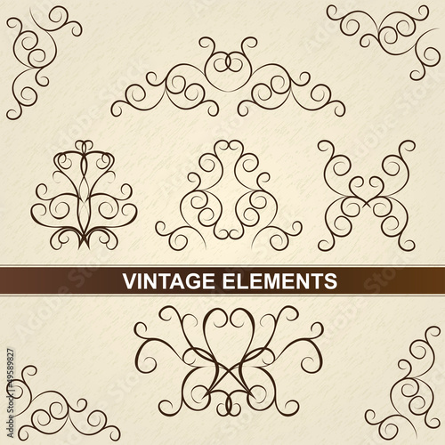Decorative floral brown elements. Vintage design.
