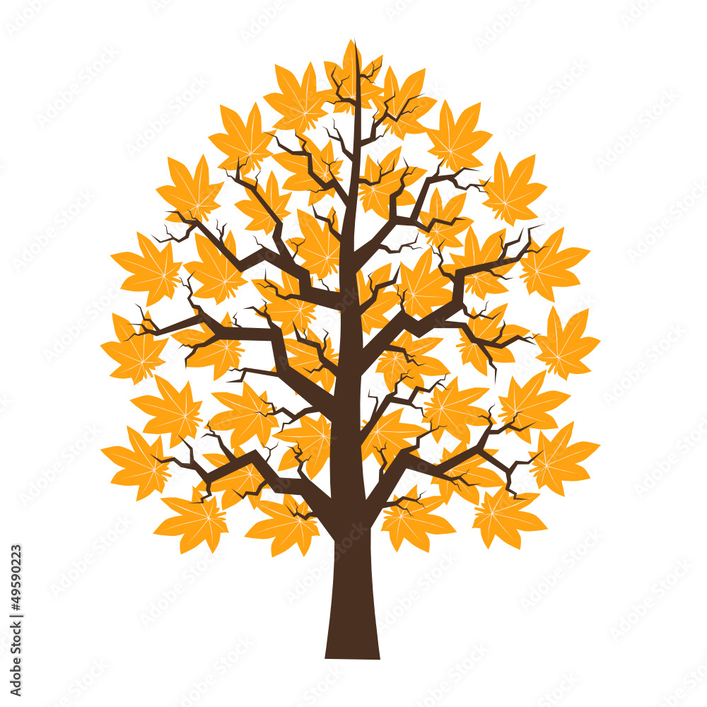 Tree maple with orange leafage