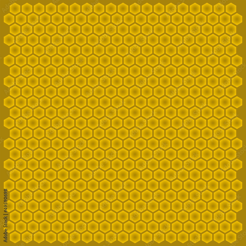Vector bee hiv cell background Vector bee hiv cell background