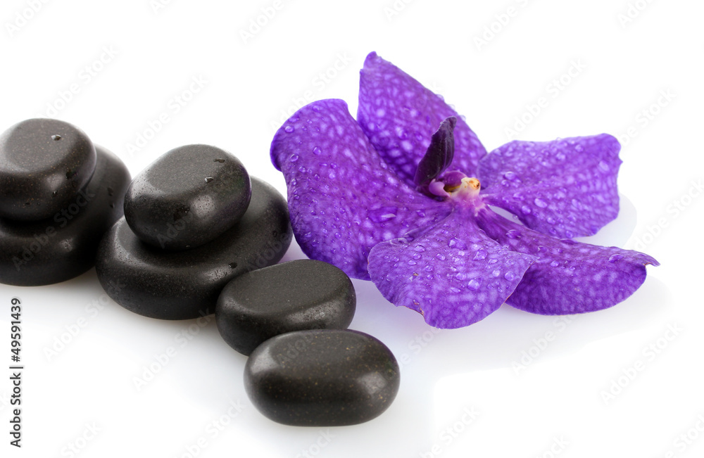 Spa stones and purple flower, isolated on white Spa stones and purple flower, isolated on white