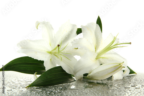 Fototapeta Naklejka Na Ścianę i Meble -  Beautiful lily, isolated on white