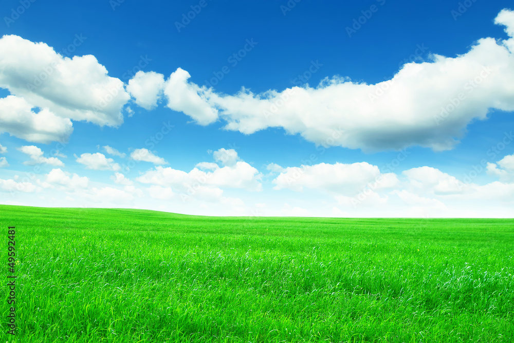 Spring green meadow and blue sky with clouds.