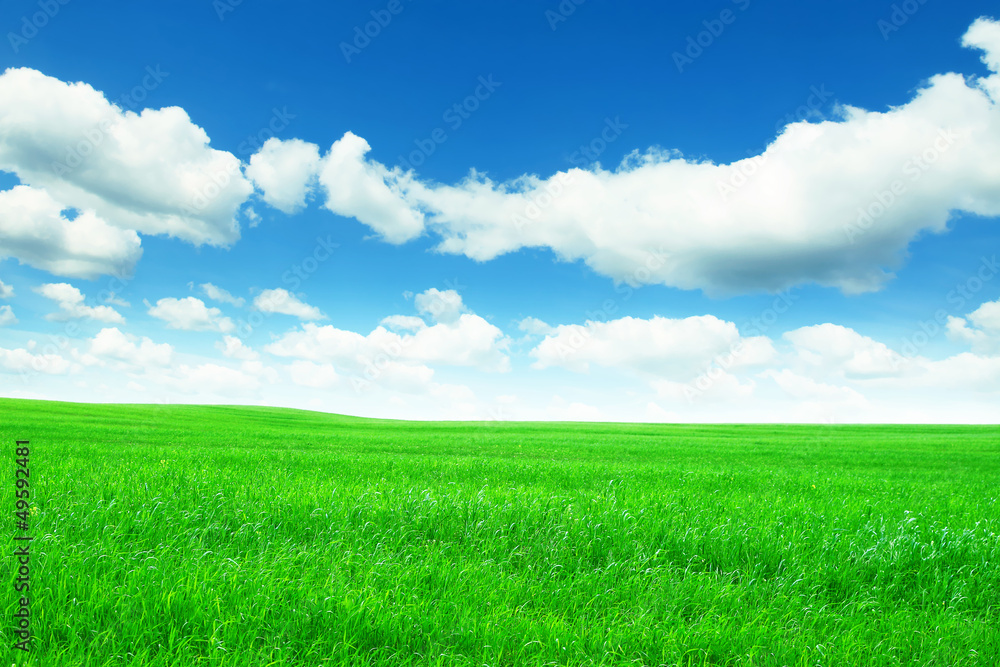 Spring green meadow and blue sky with clouds. Spring green meadow and blue sky with clouds.