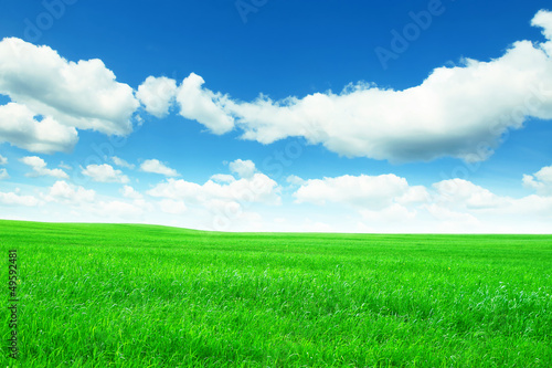 Spring green meadow and blue sky with clouds. © Elena Volkova
