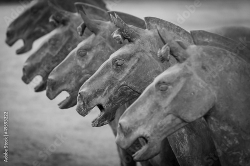Terracotta horses in Xian China