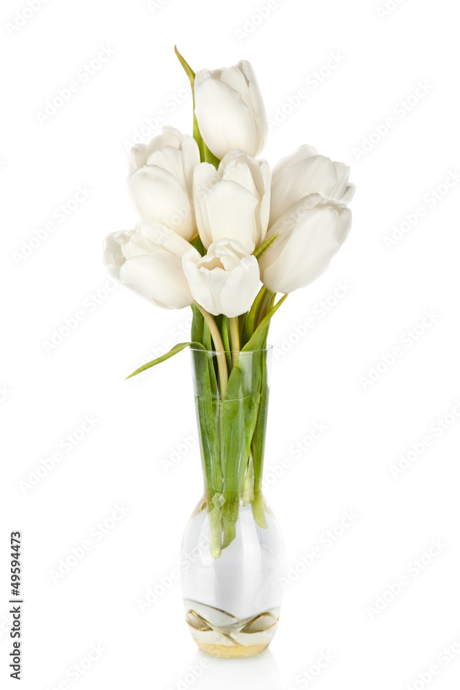 Bouquet of tulips in the vase isolated on white background Bouquet of tulips in the vase isolated on white background