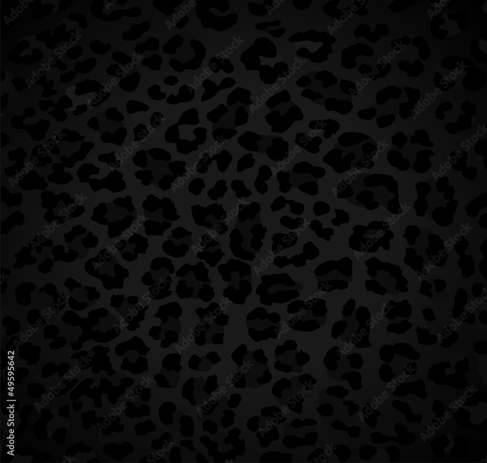 Leopard pattern Leopard pattern