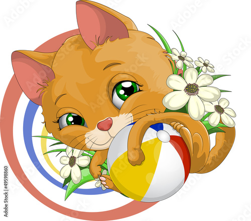 playful kitten