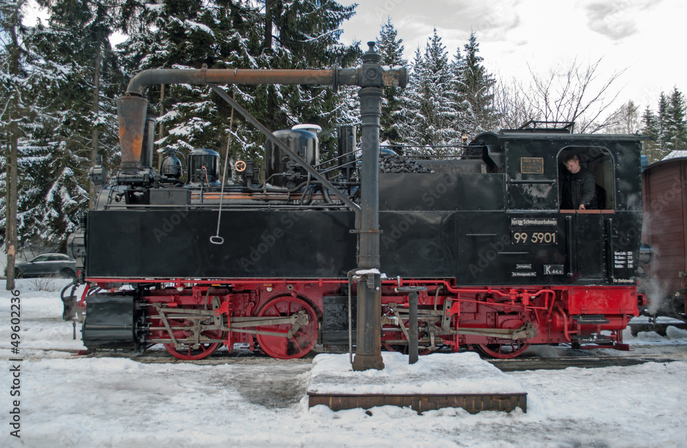 Fototapeta premium Brockenbahn #7
