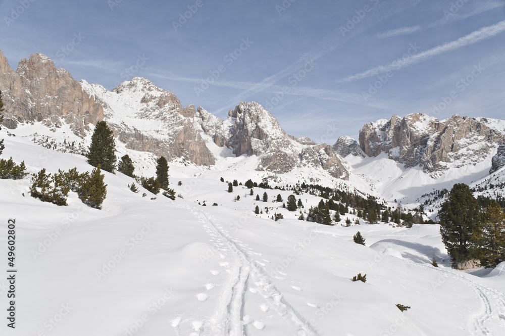 Alpine Skiing trails in the Snow