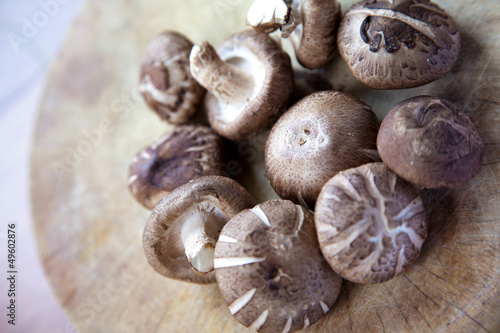 Shiitake Mushroom