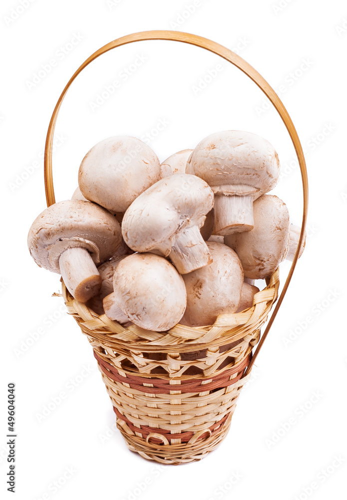 mushrooms in a basket mushrooms in a basket