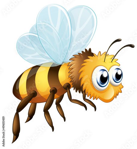 A big bee