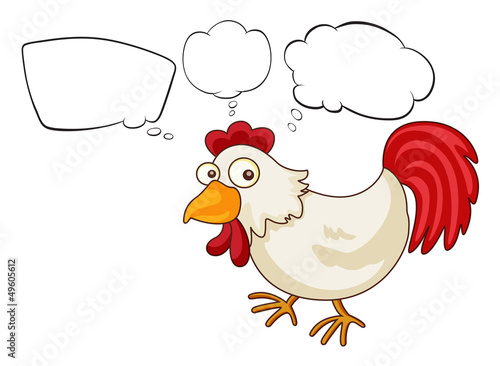 A rooster with empty thoughts