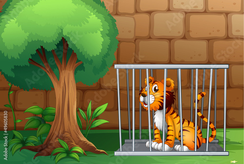 A cage with a tiger