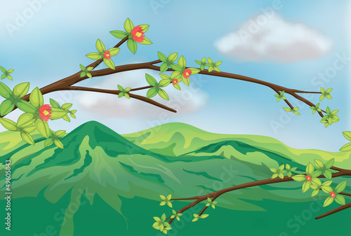 A view of a very high mountain