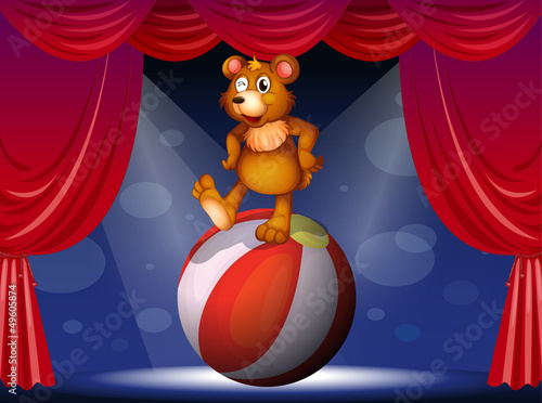 A bear at the circus