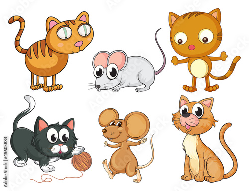 Cats and mice