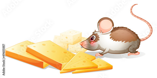 Slices of cheese with a mouse