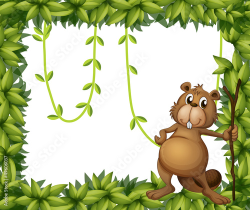 A beaver holding a stick on a leafy frame