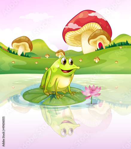 A frog above a waterlily