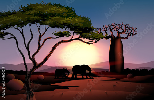 A sunset at the desert with animals