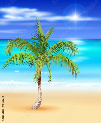 tropical beach - vector illustration of the palm tree