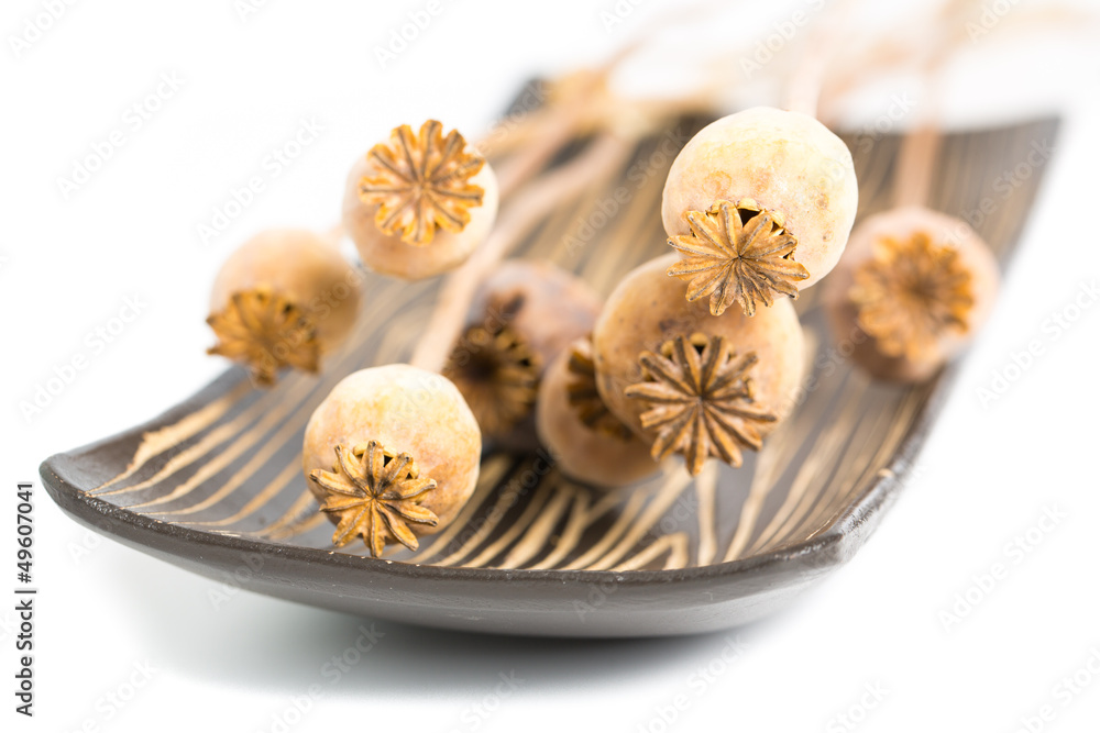 Holzschale mit Mohnkapseln seitlich Holzschale mit Mohnkapseln seitlich