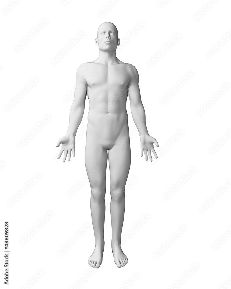 3d rendered illustration - white male body 3d rendered illustration - white male body