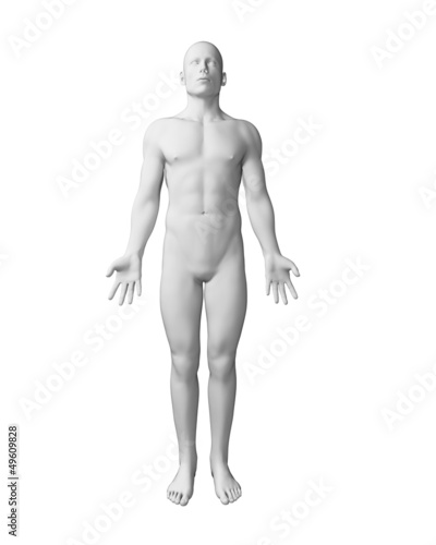 3d rendered illustration - white male body