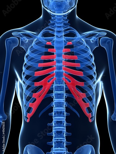 Φωτογραφία 3d rendered illustration - costal cartilage