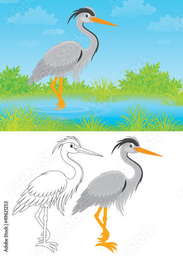 Heron